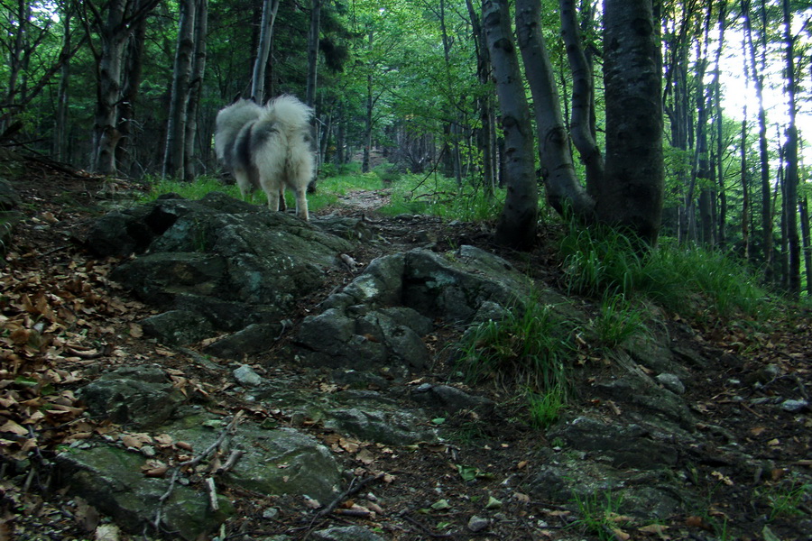 Hrebeňovka Lúčanskej Malej Fatry - 2 deň (Malá Fatra)