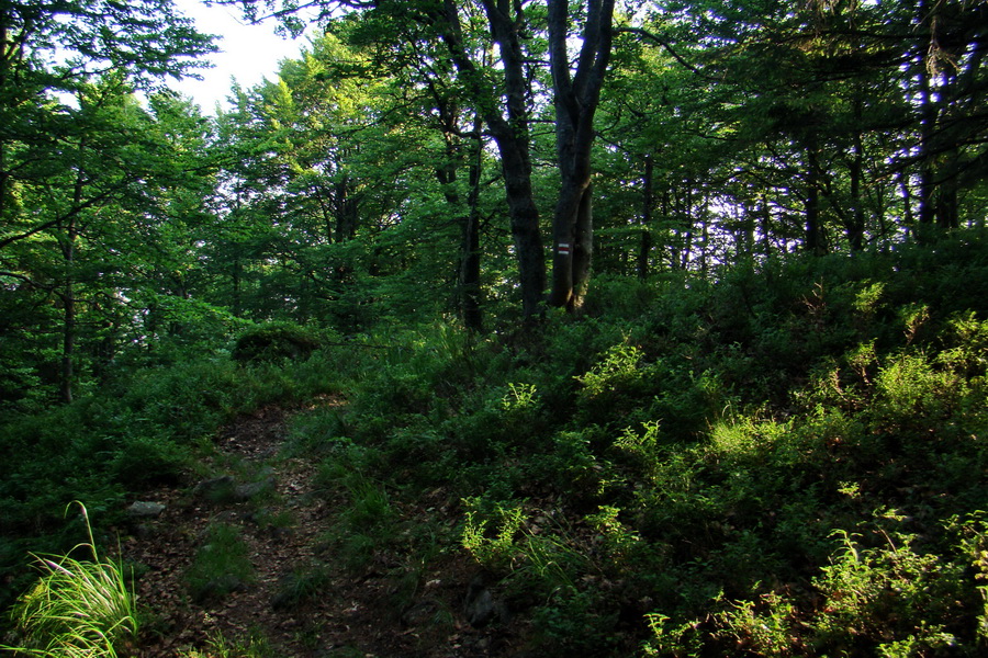 Hrebeňovka Lúčanskej Malej Fatry - 2 deň (Malá Fatra)