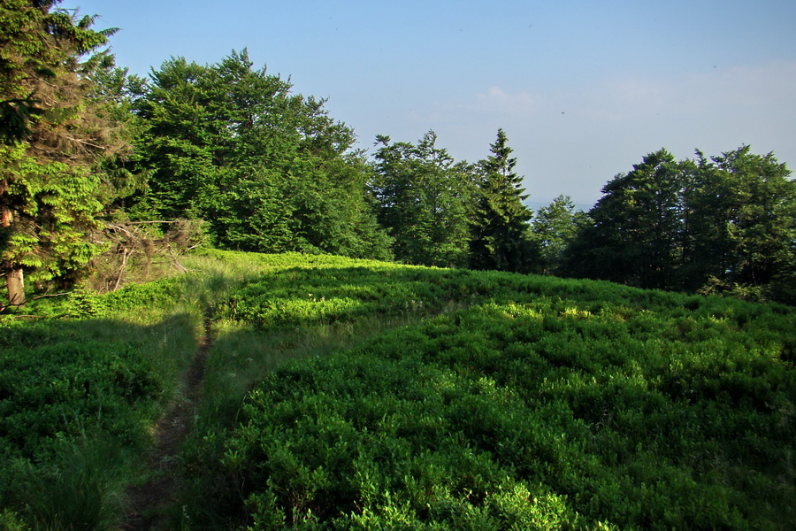 Hrebeňovka Lúčanskej Malej Fatry - 2 deň (Malá Fatra)