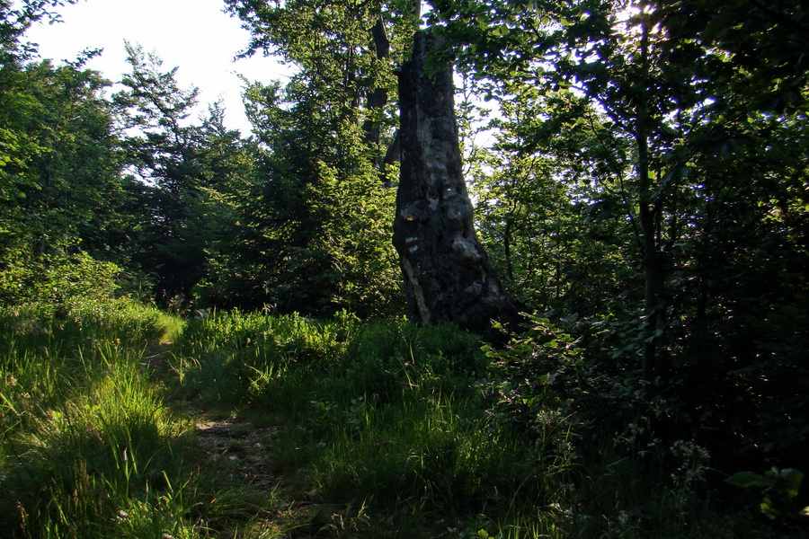 Hrebeňovka Lúčanskej Malej Fatry - 2 deň (Malá Fatra)