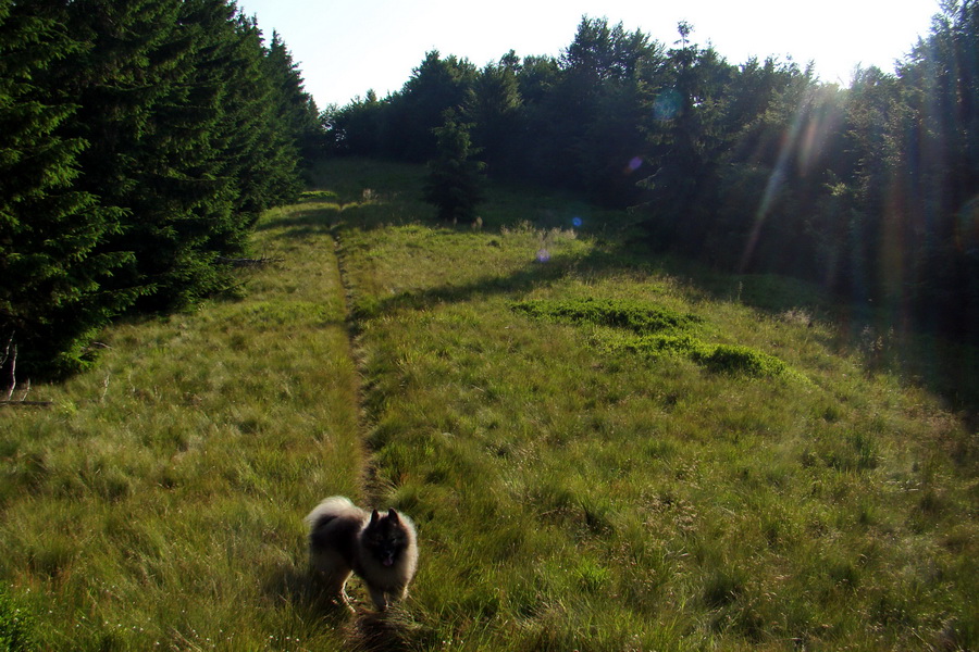 Hrebeňovka Lúčanskej Malej Fatry - 2 deň (Malá Fatra)