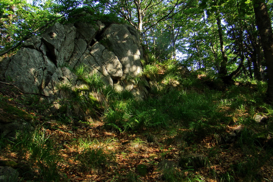 Hrebeňovka Lúčanskej Malej Fatry - 2 deň (Malá Fatra)