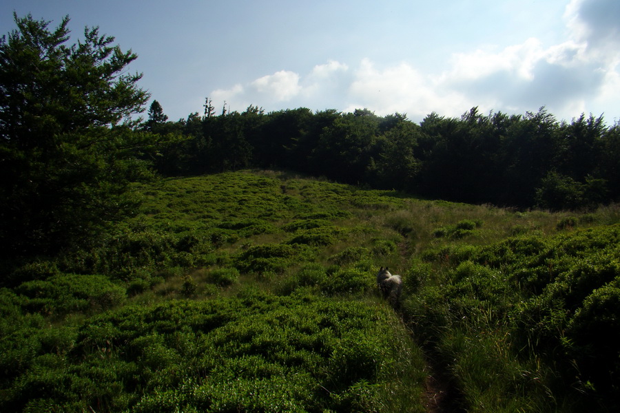 Hrebeňovka Lúčanskej Malej Fatry - 2 deň (Malá Fatra)