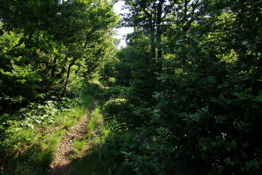 Hrebeňovka Lúčanskej Malej Fatry - 2 deň (Malá Fatra)