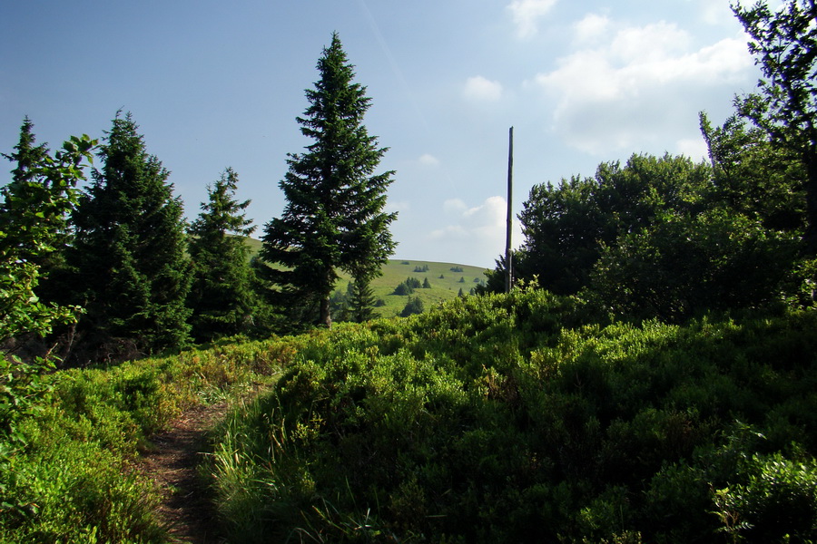 Hrebeňovka Lúčanskej Malej Fatry - 2 deň (Malá Fatra)