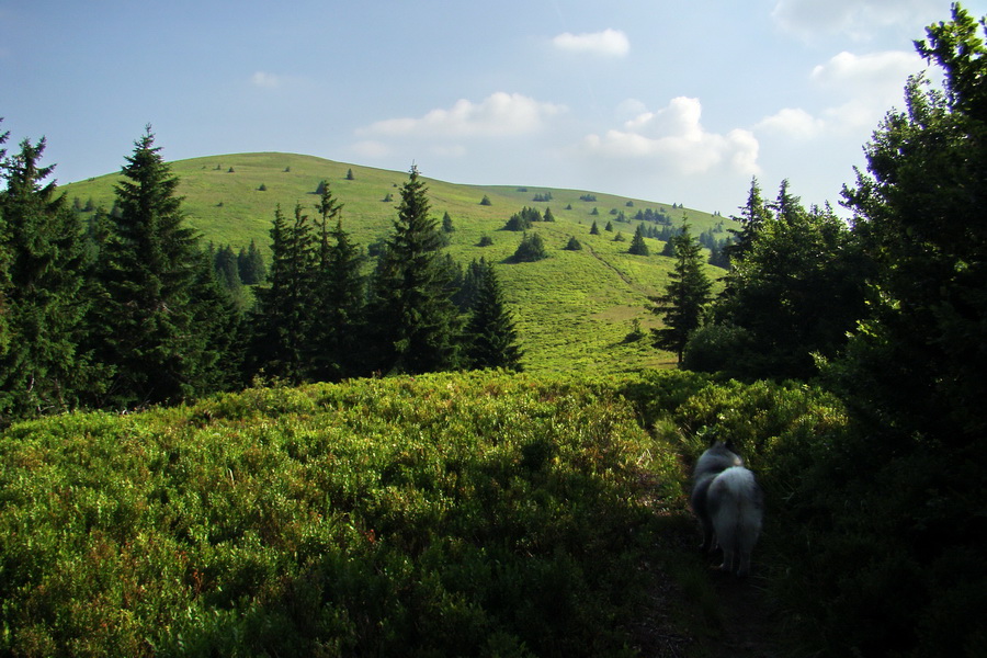 Hrebeňovka Lúčanskej Malej Fatry - 2 deň (Malá Fatra)