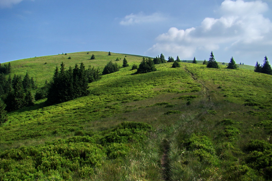 Hrebeňovka Lúčanskej Malej Fatry - 2 deň (Malá Fatra)