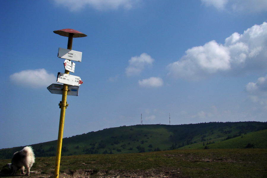 Hrebeňovka Lúčanskej Malej Fatry - 2 deň (Malá Fatra)