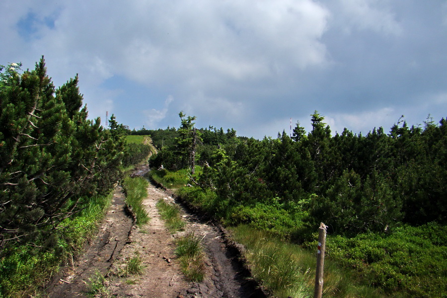 Hrebeňovka Lúčanskej Malej Fatry - 2 deň (Malá Fatra)