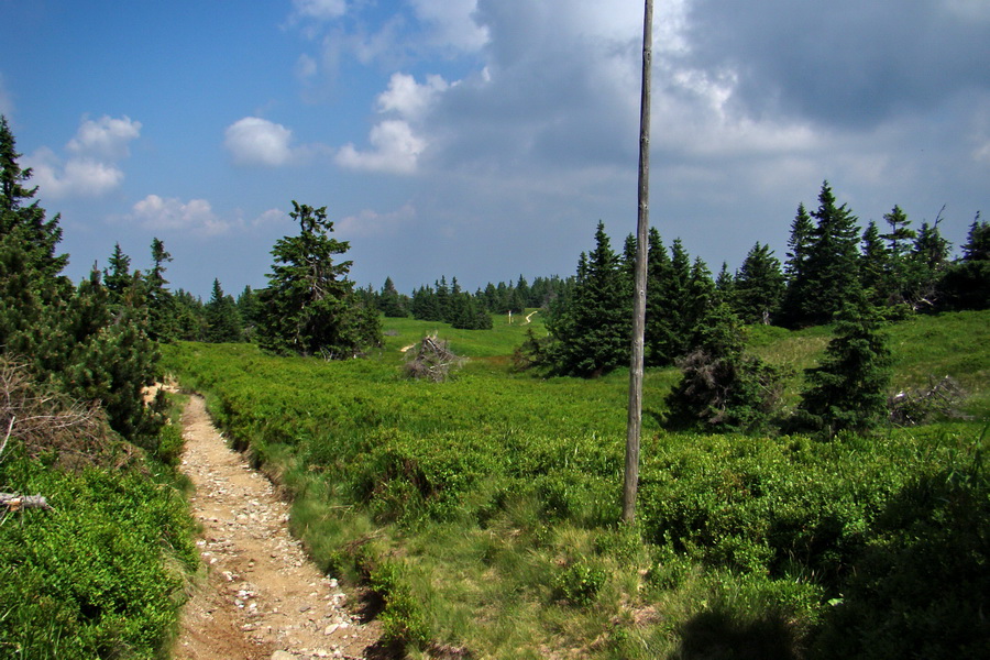 Hrebeňovka Lúčanskej Malej Fatry - 2 deň (Malá Fatra)