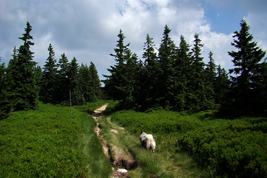 Hrebeňovka Lúčanskej Malej Fatry - 2 deň (Malá Fatra)