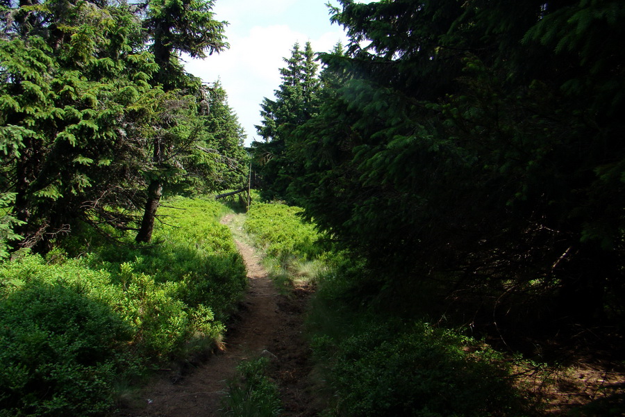 Hrebeňovka Lúčanskej Malej Fatry - 2 deň (Malá Fatra)