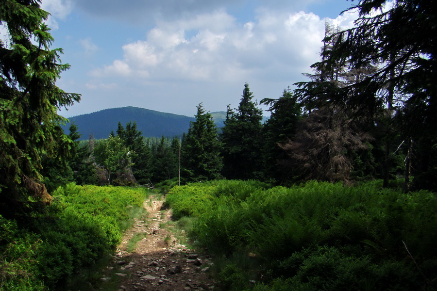 Hrebeňovka Lúčanskej Malej Fatry - 2 deň (Malá Fatra)