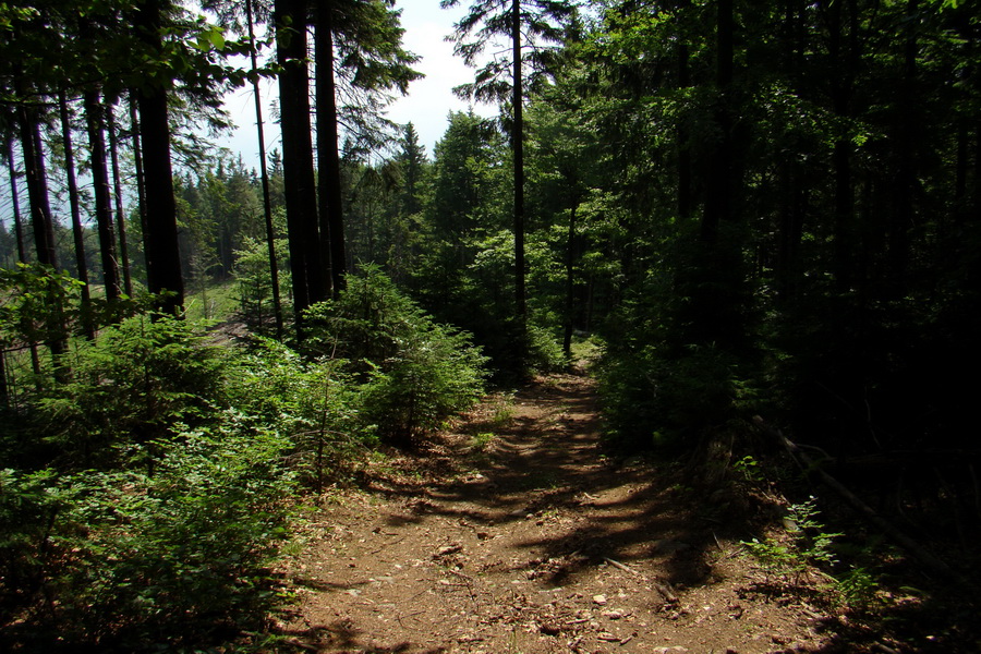 Hrebeňovka Lúčanskej Malej Fatry - 2 deň (Malá Fatra)