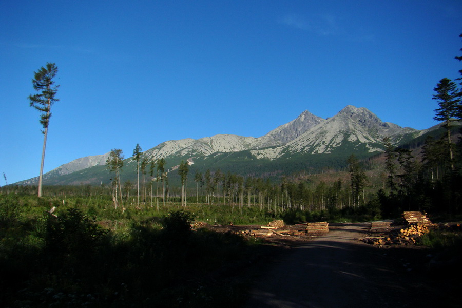 Jahňací štít so psom (Vysoké Tatry)