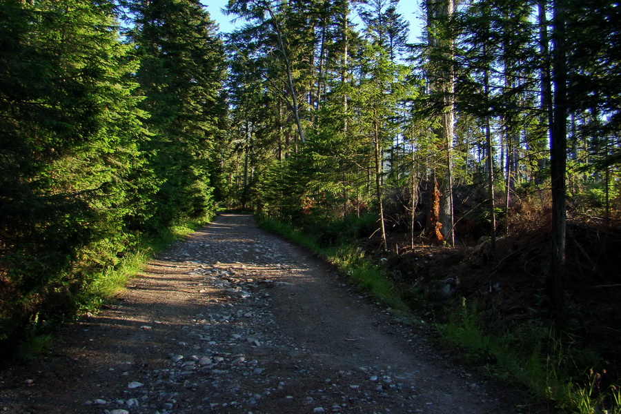 Jahňací štít so psom (Vysoké Tatry)