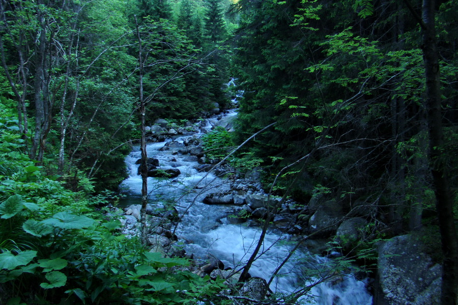 Jahňací štít so psom (Vysoké Tatry)