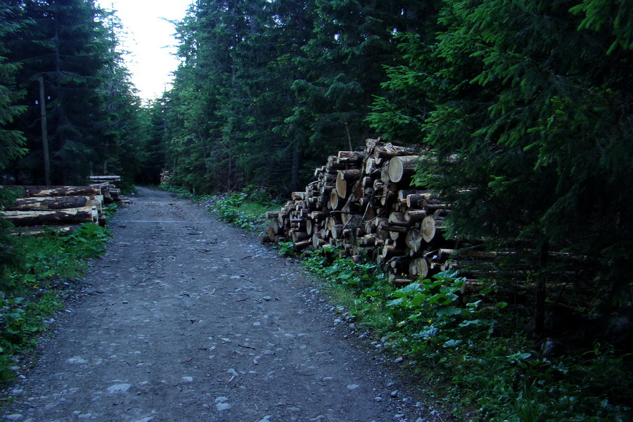 Jahňací štít so psom (Vysoké Tatry)