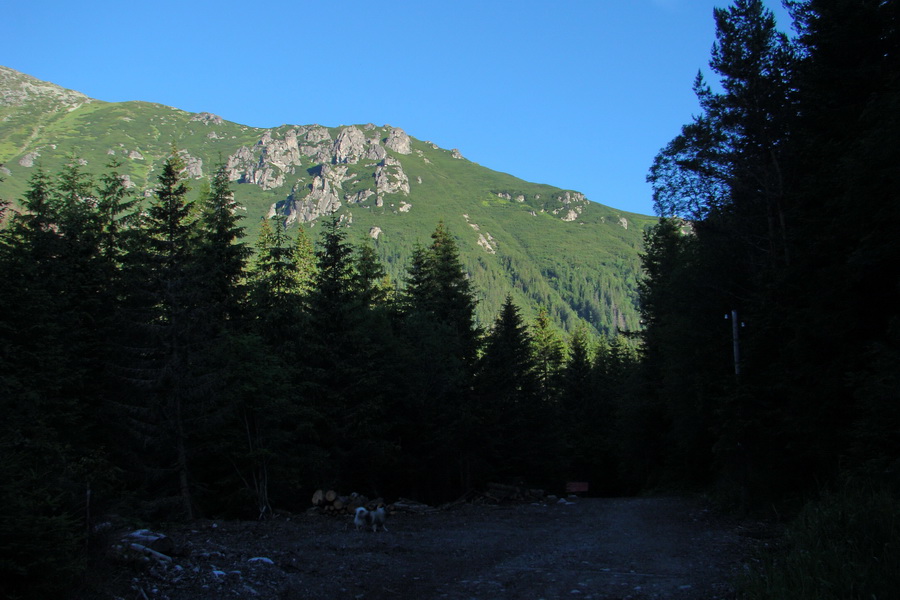 Jahňací štít so psom (Vysoké Tatry)