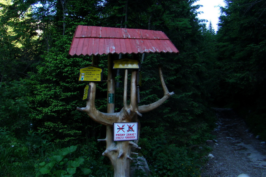 Jahňací štít so psom (Vysoké Tatry)