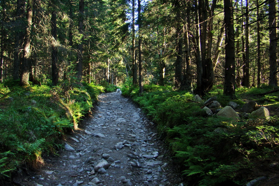 Jahňací štít so psom (Vysoké Tatry)