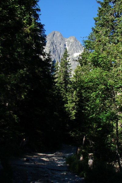 Jahňací štít so psom (Vysoké Tatry)