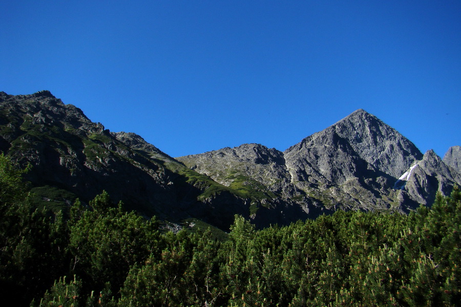 Jahňací štít so psom (Vysoké Tatry)