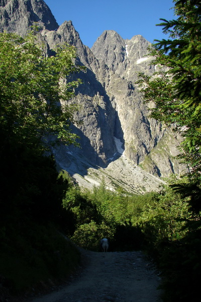 Jahňací štít so psom (Vysoké Tatry)