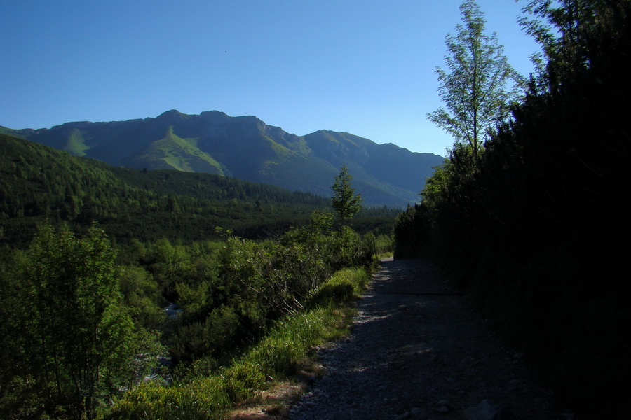 Jahňací štít so psom (Vysoké Tatry)