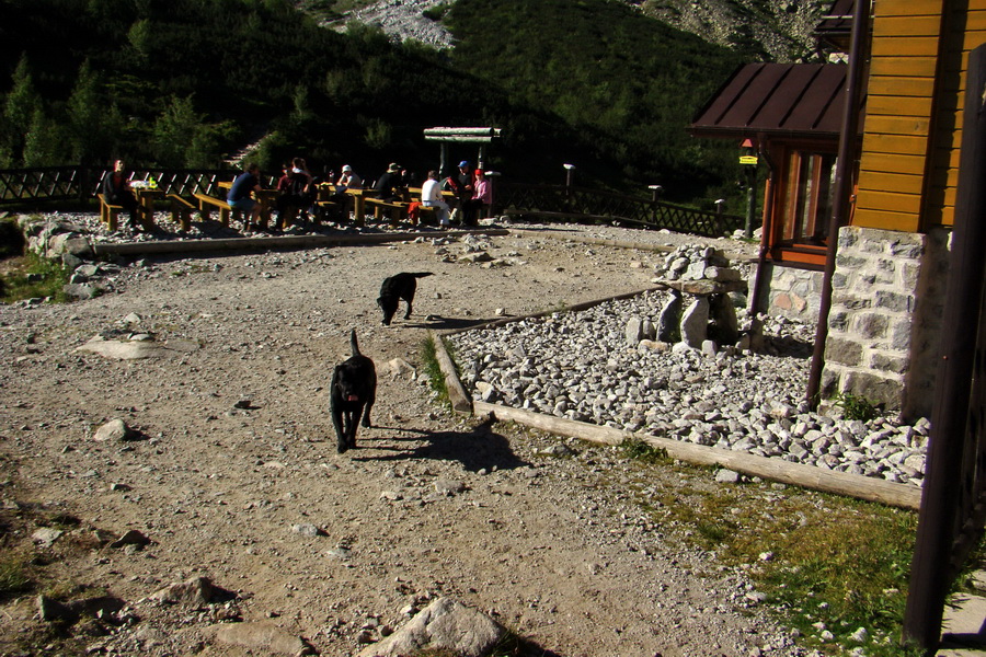 Jahňací štít so psom (Vysoké Tatry)