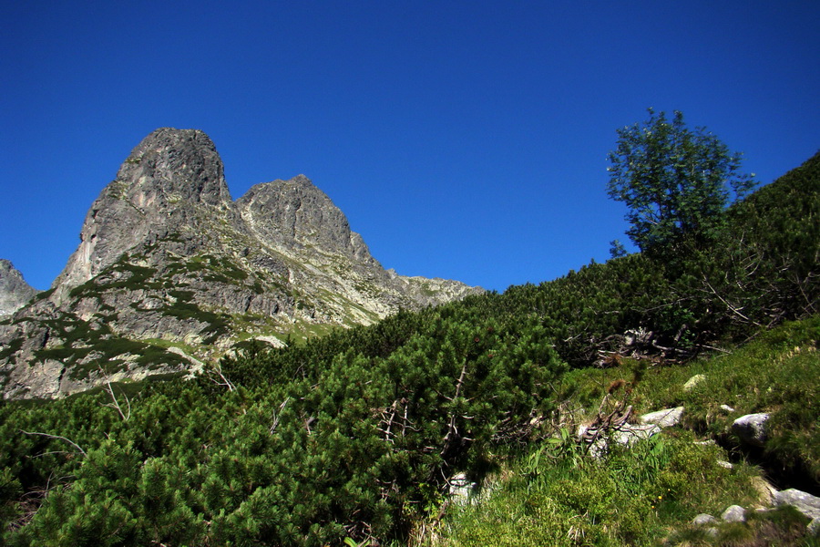 Jahňací štít so psom (Vysoké Tatry)