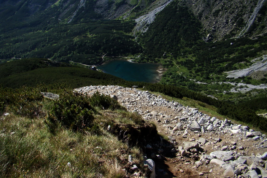 Jahňací štít so psom (Vysoké Tatry)