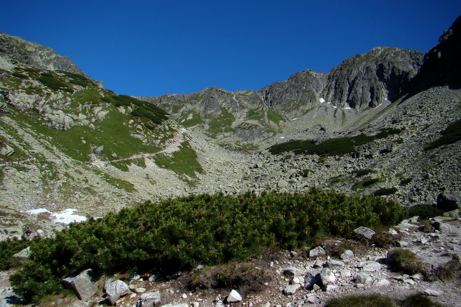 Jahňací štít so psom (Vysoké Tatry)