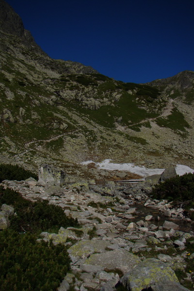 Jahňací štít so psom (Vysoké Tatry)