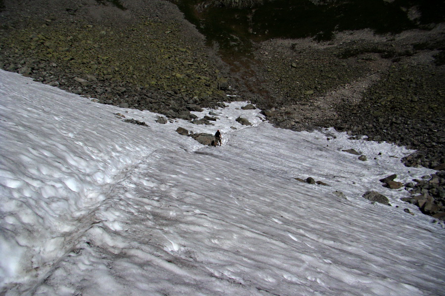 Jahňací štít so psom (Vysoké Tatry)