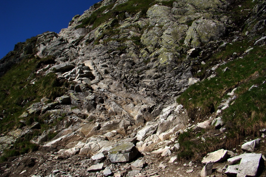 Jahňací štít so psom (Vysoké Tatry)