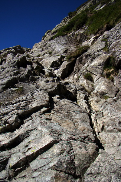 Jahňací štít so psom (Vysoké Tatry)