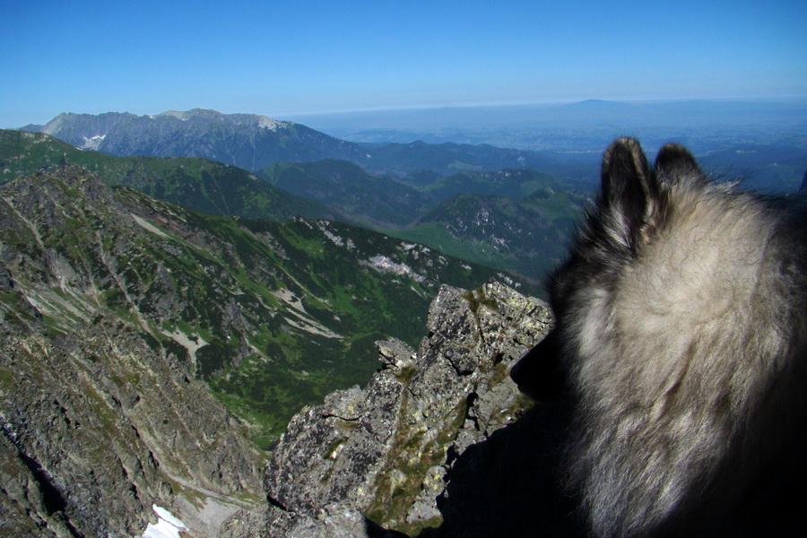 Jahňací štít so psom (Vysoké Tatry)