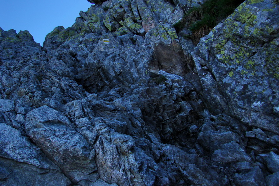 Jahňací štít so psom (Vysoké Tatry)