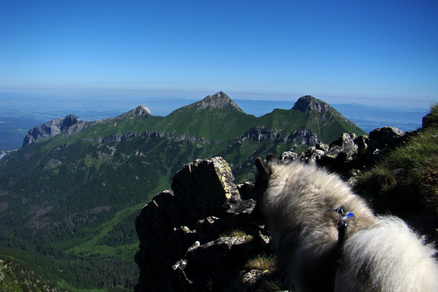 Jahňací štít so psom (Vysoké Tatry)