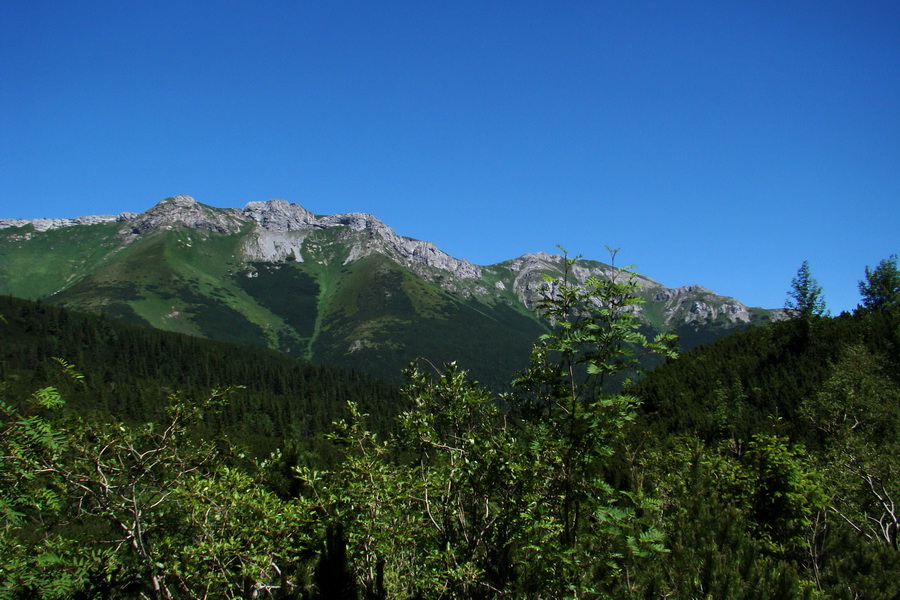 Jahňací štít so psom (Vysoké Tatry)