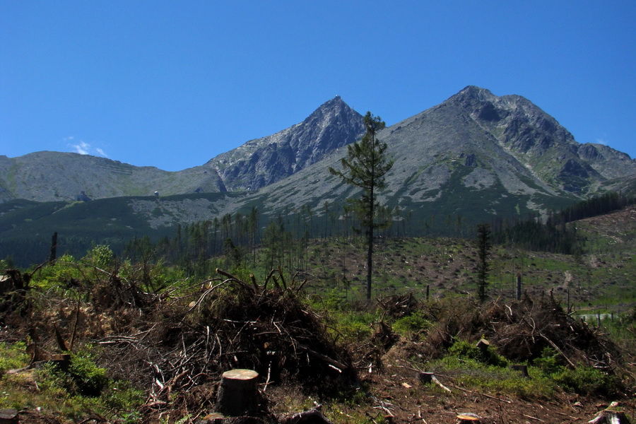 Jahňací štít so psom (Vysoké Tatry)