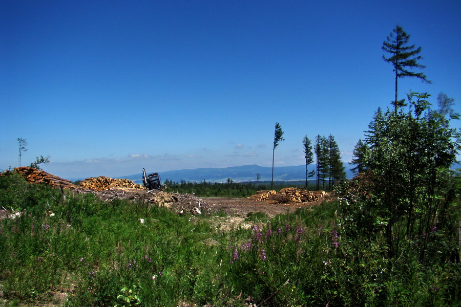 Jahňací štít so psom (Vysoké Tatry)