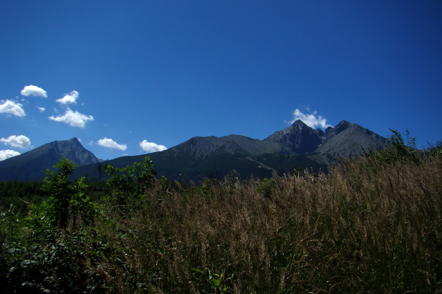 Jahňací štít so psom (Vysoké Tatry)