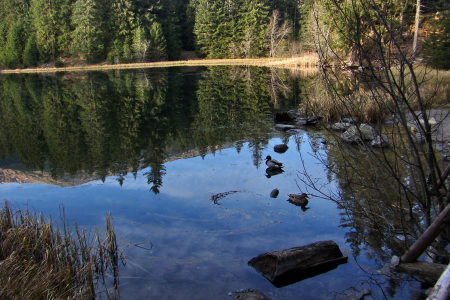 Kamenná chata pod Chopkom (Nízke Tatry)