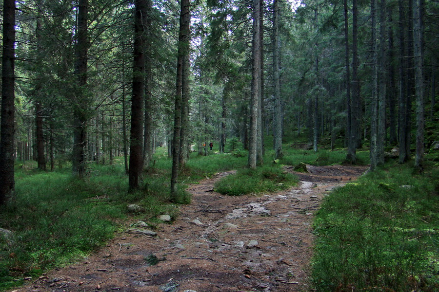 Kamenná chata pod Chopkom (Nízke Tatry)