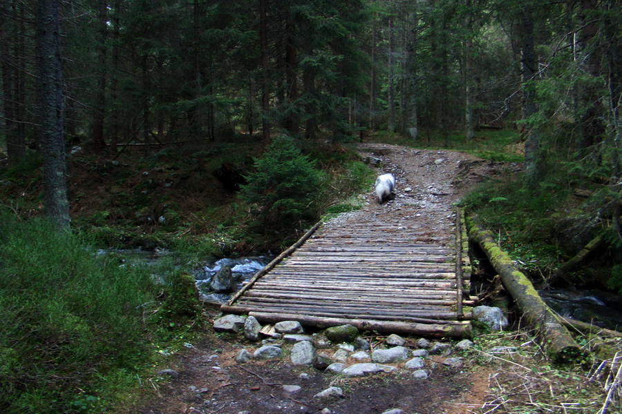 Kamenná chata pod Chopkom (Nízke Tatry)