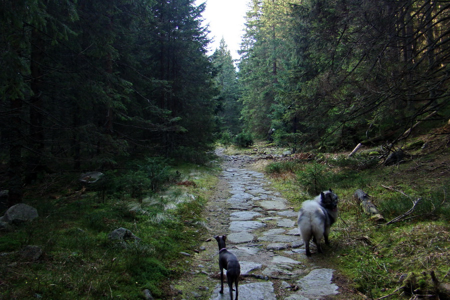 Kamenná chata pod Chopkom (Nízke Tatry)