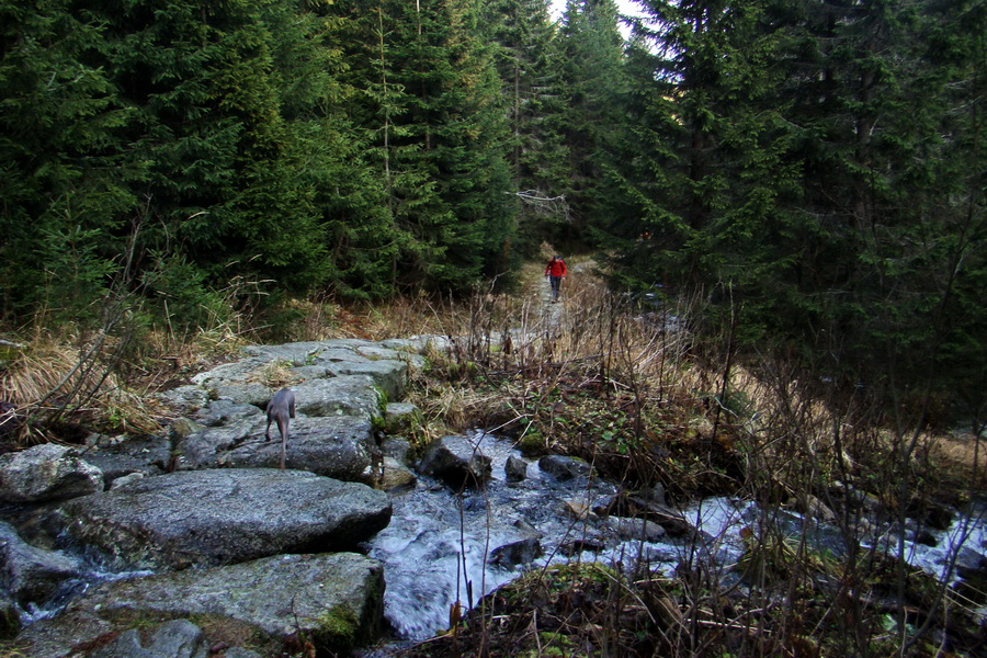 Kamenná chata pod Chopkom (Nízke Tatry)