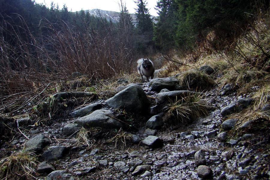 Kamenná chata pod Chopkom (Nízke Tatry)